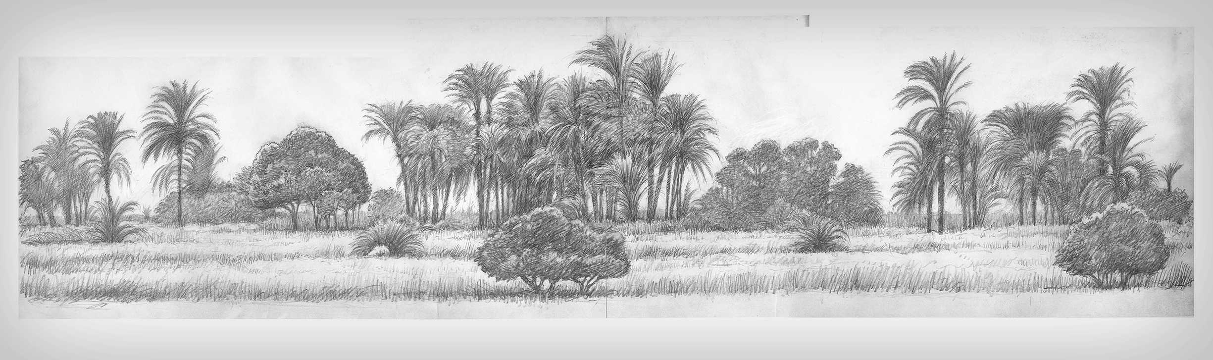 ‘Kaf El Amar’ – Film, Egypt  2011.

landscape with palm trees – pencil drawing.